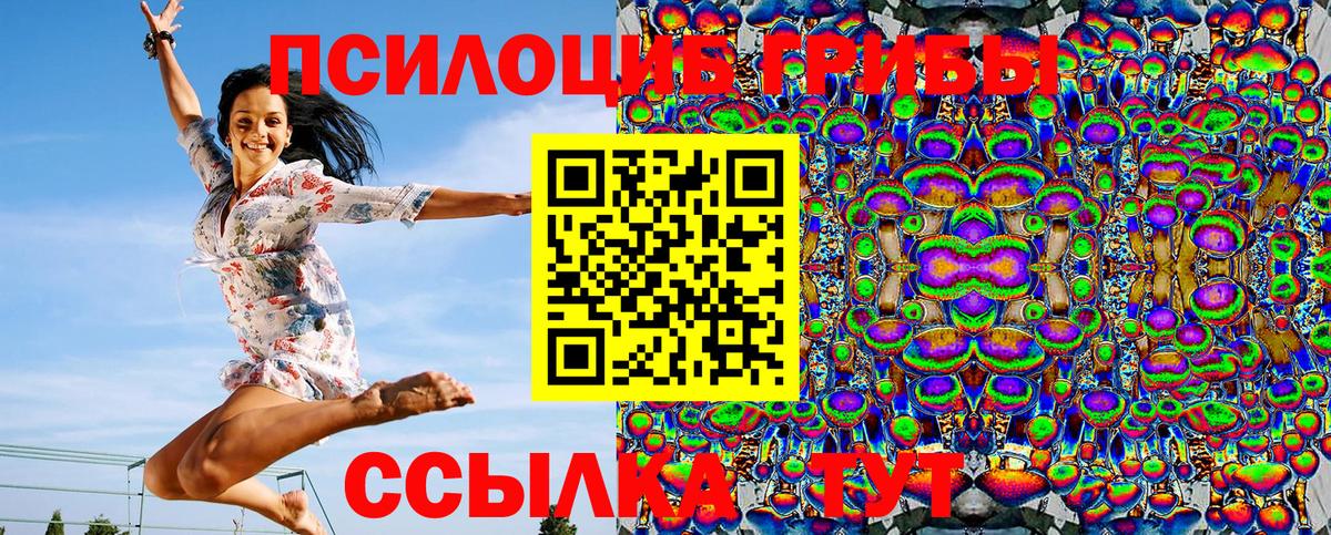 Псилоцибиновые грибы GOLDEN TEACHER  Псилоцибиновые грибы MAGIC MUSHROOMS  Асбест  купить наркотик  Вход с VPN 