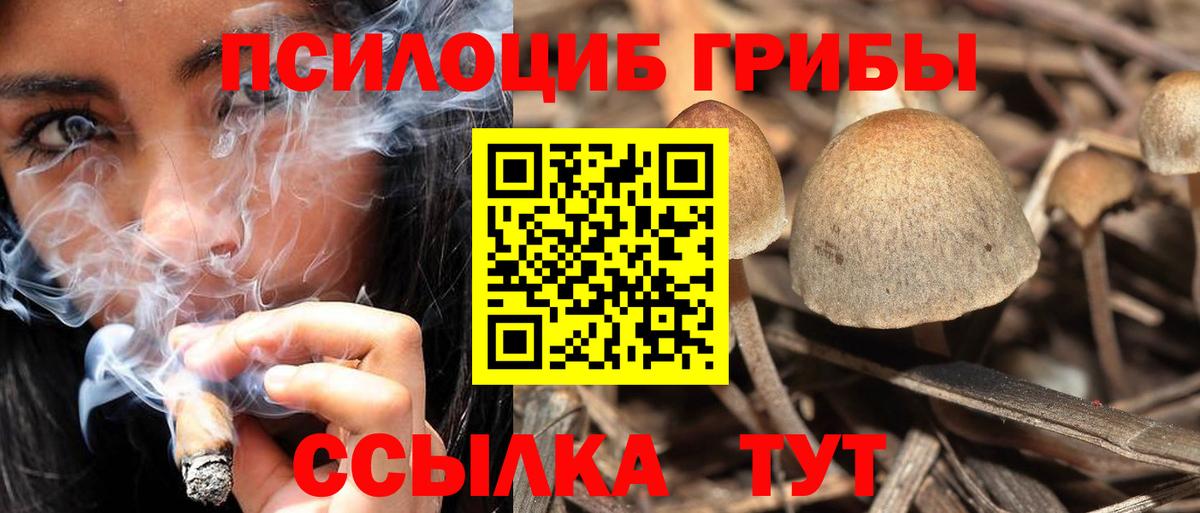 Галлюциногенные грибы Cubensis Асбест